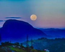 WhatsApp Image 2022-05-17 at 16.34.01 WhatsApp Image 2022-05-17 at 16.34.01