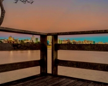 WhatsApp Image 2022-05-17 at 16.34.02 WhatsApp Image 2022-05-17 at 16.34.02